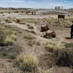 2023OTRA_728 (May 07, 2023)